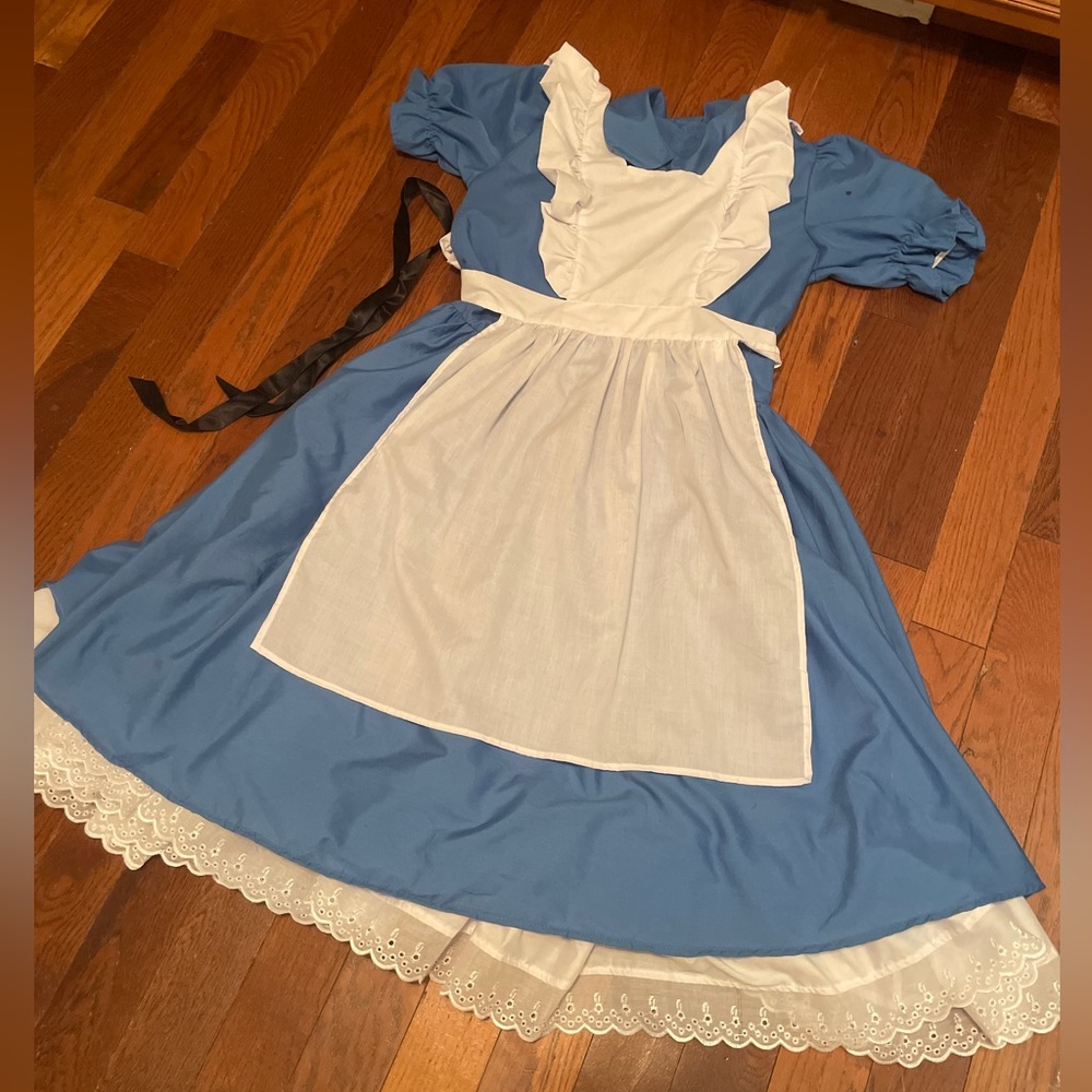 Deluxe Alice in Wonderland Alice Costume - size Medium
